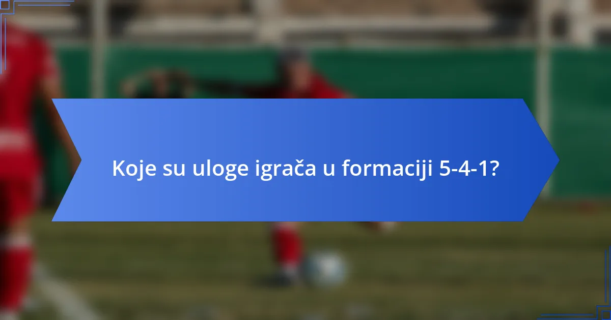 Koje su uloge igrača u formaciji 5-4-1?