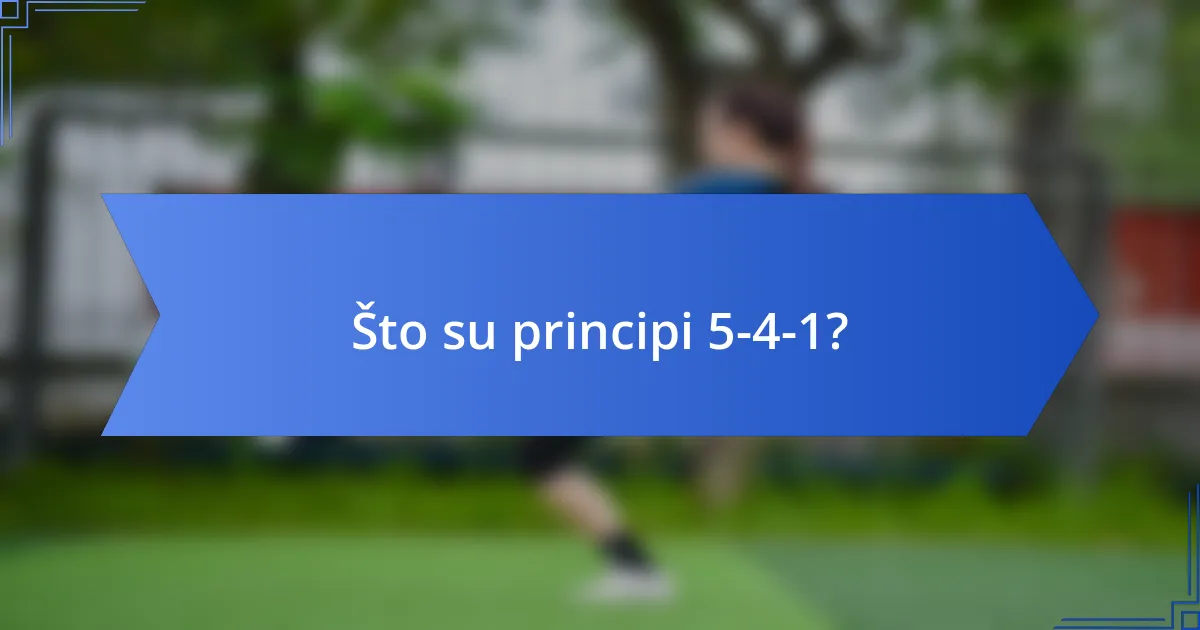 Što su principi 5-4-1?
